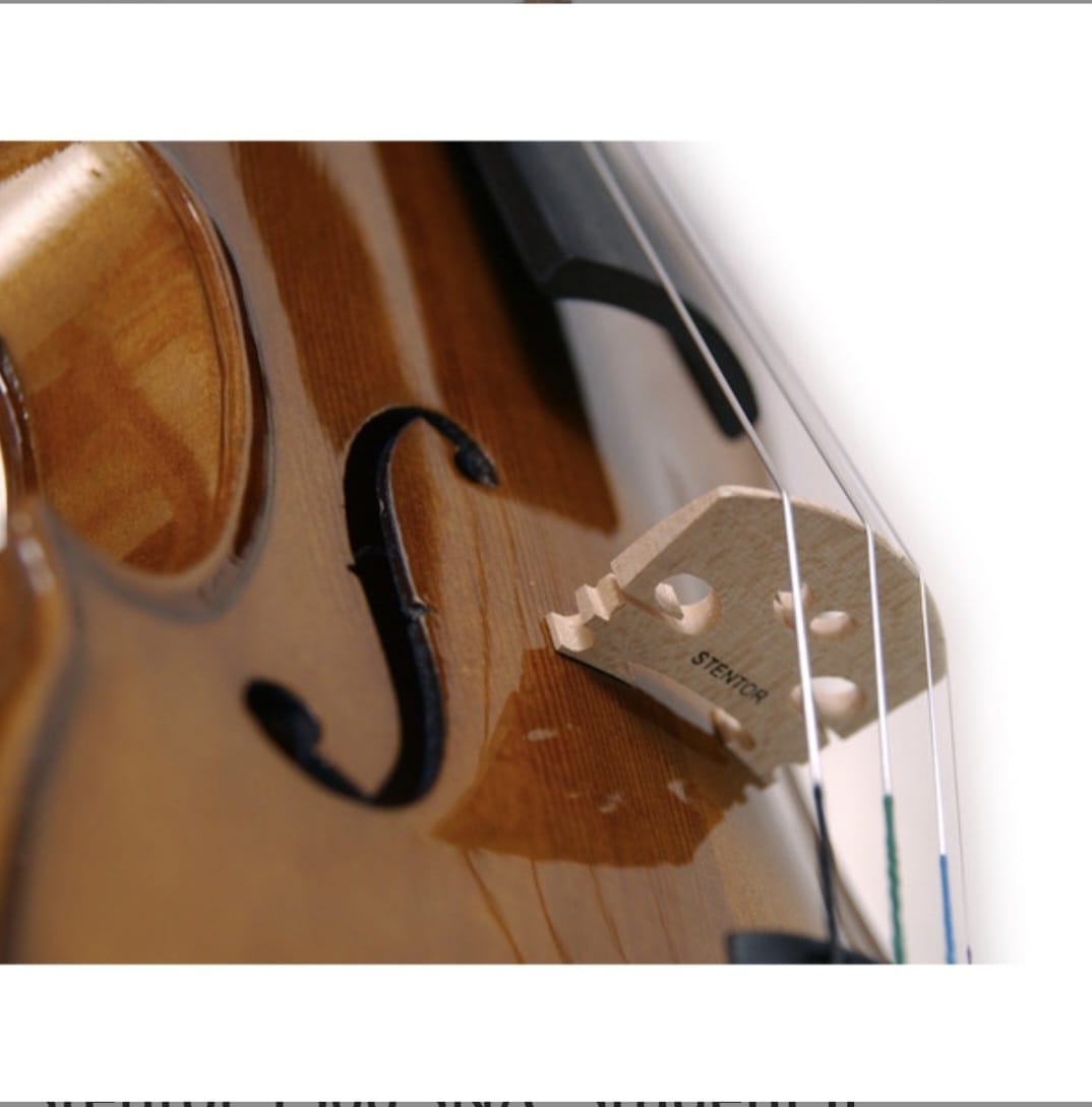 Stentor 1500 SN/C Student II Keman (3/4)