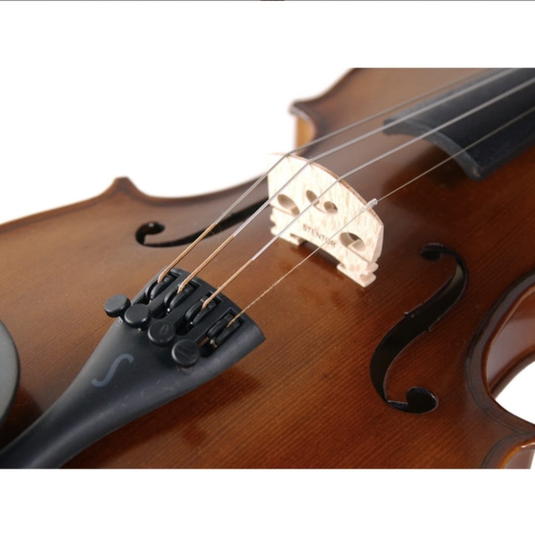 Stentor 1542/A Graduate Keman (4/4)