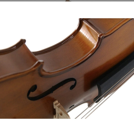 Stentor 1542/A Graduate Keman (4/4)