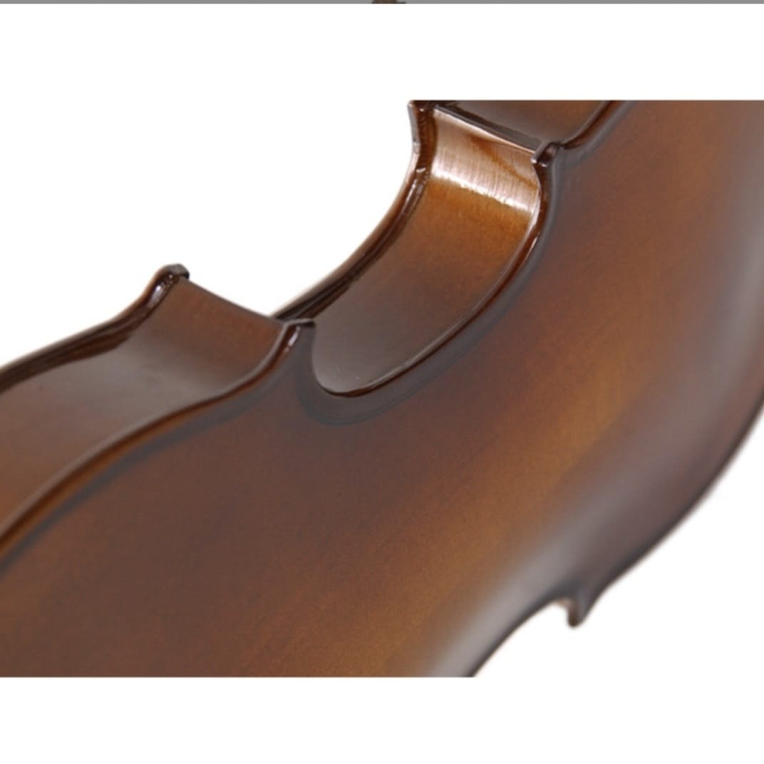 Stentor 1542/A Graduate Keman (4/4)